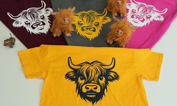 Tshirts with Highland cow motif and toy cows