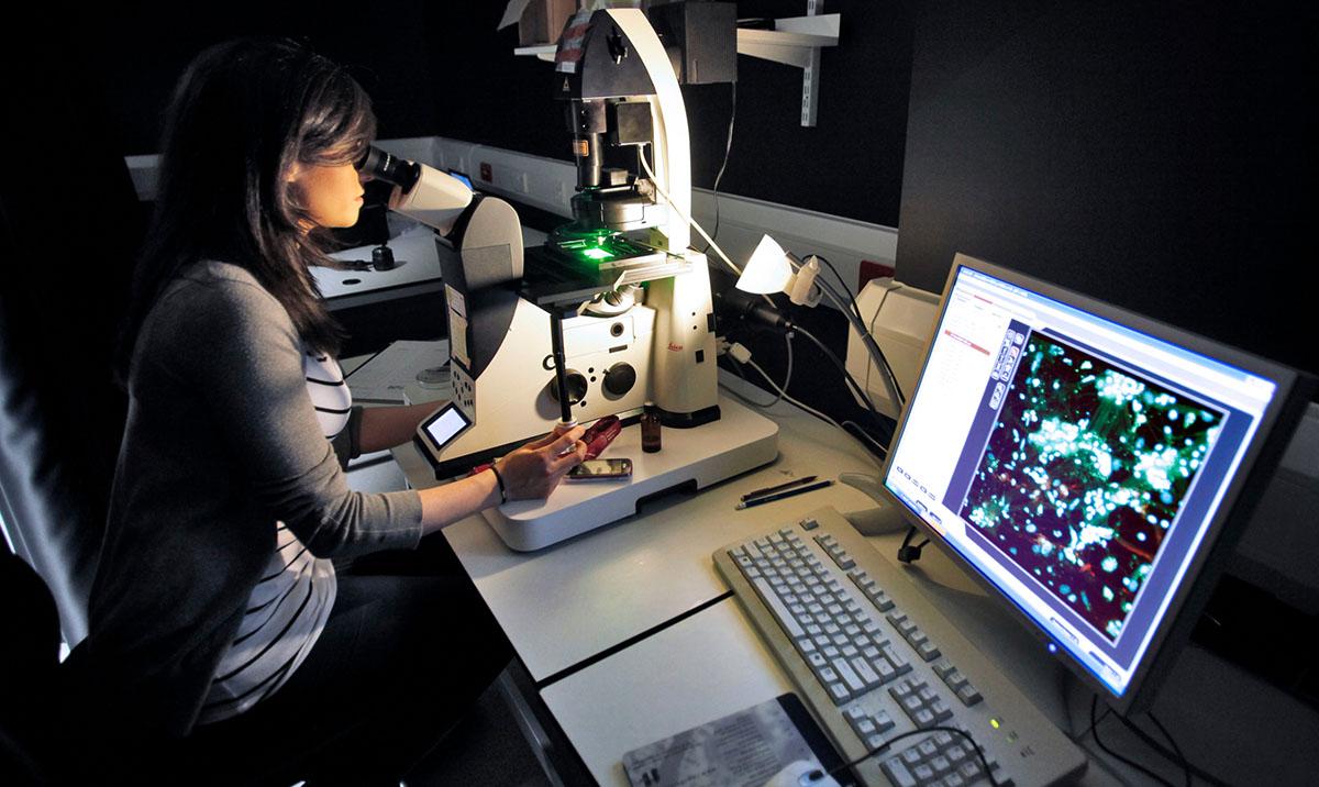 Photo shows woman looking microscope beside computer screen. Image by Paul Dodds.