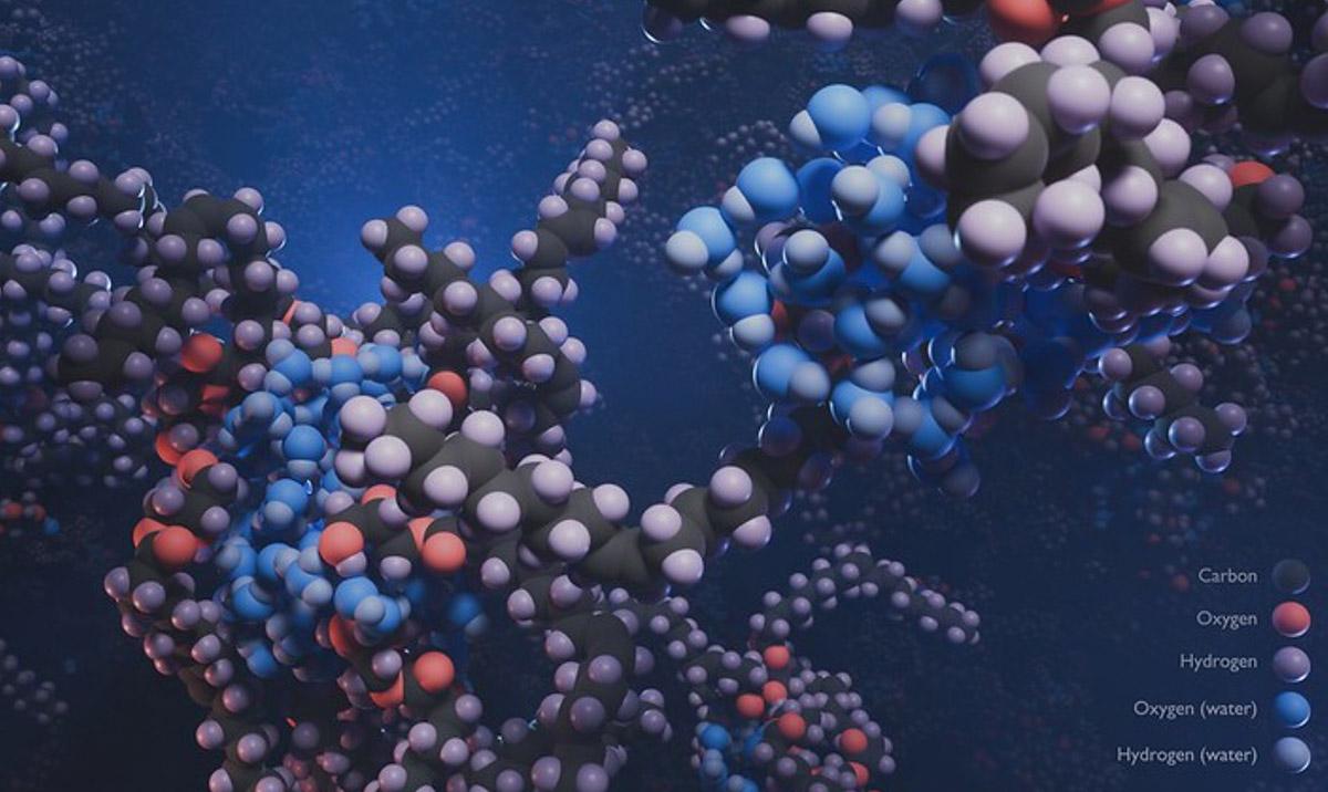 Molecular dynamics computation of Glycerol monooleate (GMO) molecules gathering around water droplets to form reverse-micelles helping lubrication efficiency